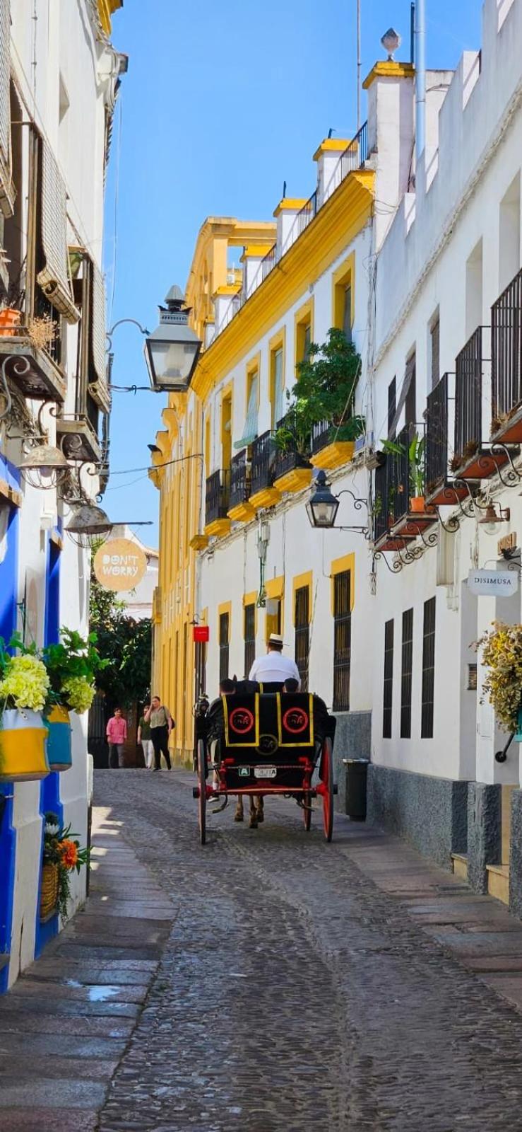 Apartamento Petit Mansion Juderia Córdoba